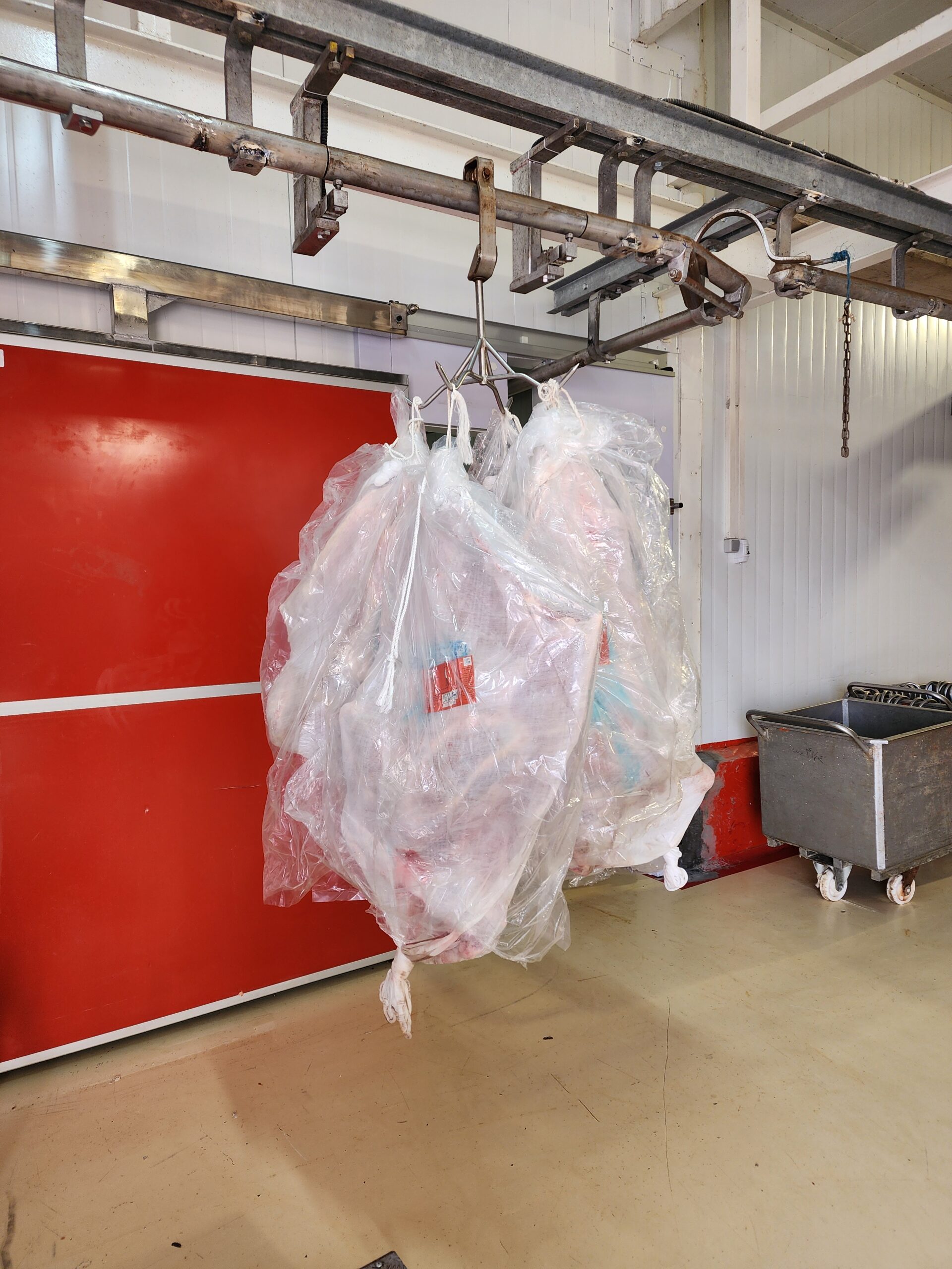 راهنمای کامل واردات گوشت گرم و منجمد؛ از مبدأ تا سفره مصرف‌کننده